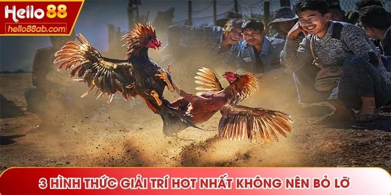 3 hình thức giải trí hot nhất không nên bỏ lỡ
