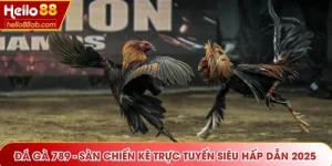 Đá gà 789