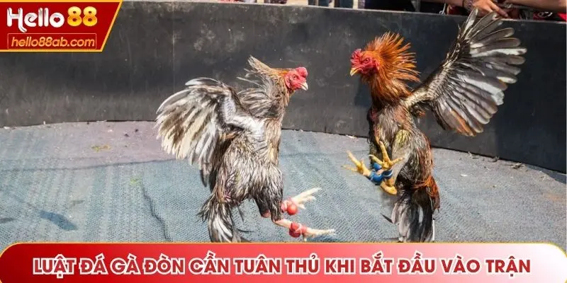 Luật cơ bản cần tuân thủ khi bắt đầu vào trận