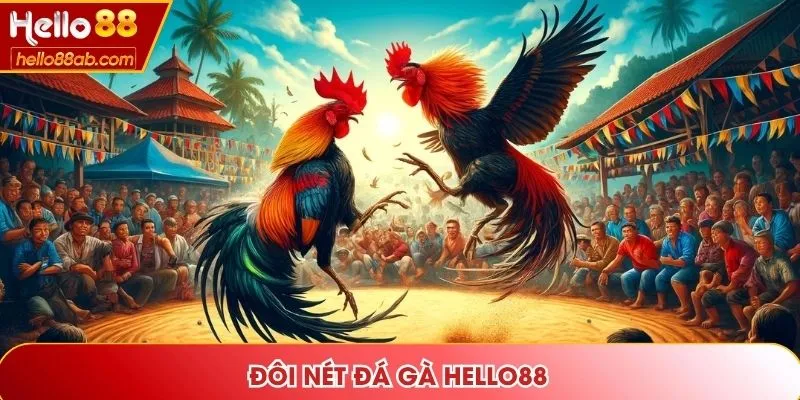 Đôi nét đá gà Hello88