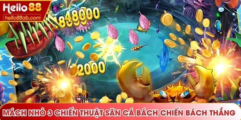Mách nhỏ 3 chiến thuật săn cá bách chiến bách thắng 