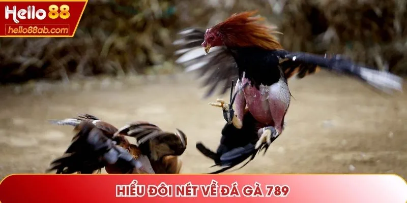 Hiểu đôi nét về đá gà 789
