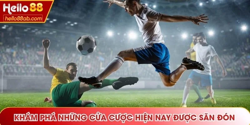 Khám phá những cửa cược hiện nay được săn đón