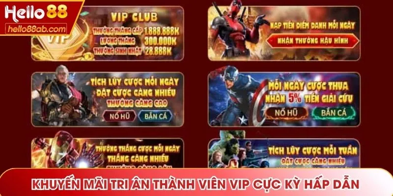 Khuyến mãi tri ân thành viên VIP cực kỳ hấp dẫn