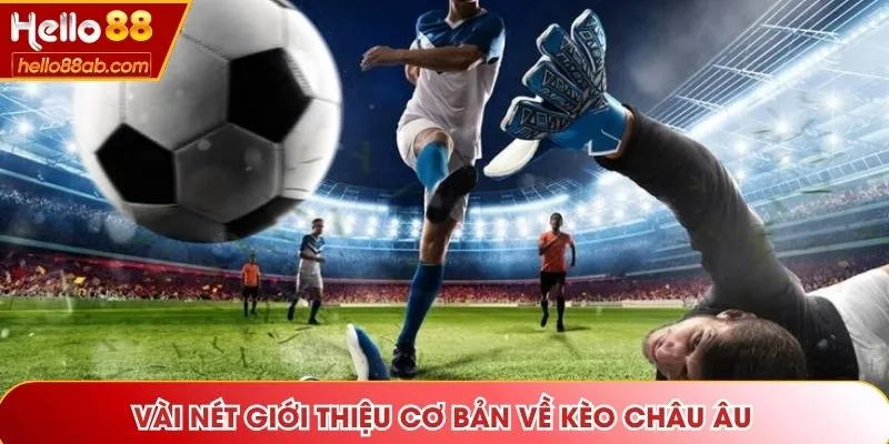 Vài nét giới thiệu cơ bản về kèo Châu Âu